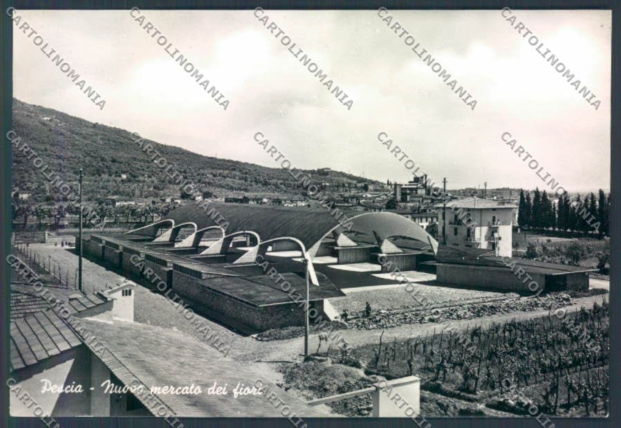 Pistoia Pescia Mercato Fiori foto FG cartolina ZF4552 – fronte