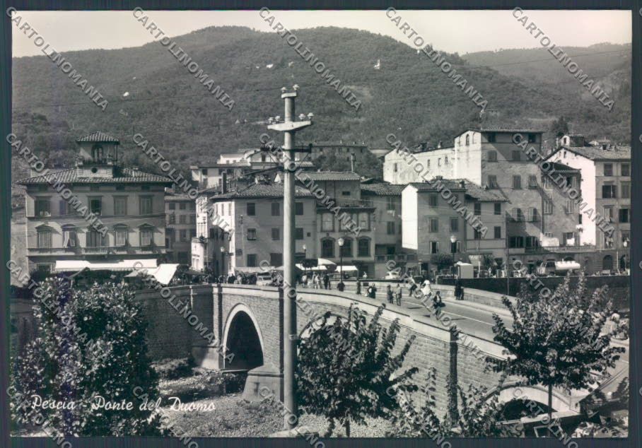 Pistoia Pescia foto FG cartolina ZF4566 – fronte