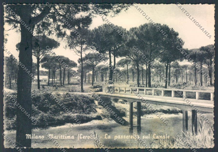 Ravenna Cervia Milano Marittima FG cartolina ZF4772 – fronte