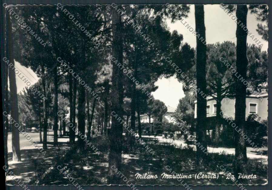 Ravenna Cervia Milano Marittima foto FG cartolina ZF4825 – fronte