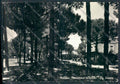 Ravenna Cervia Milano Marittima foto FG cartolina ZF4825 – fronte