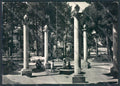 Ravenna Cervia Milano Marittima foto FG cartolina ZF4837 – fronte
