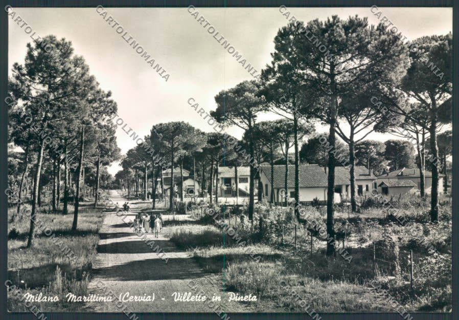 Ravenna Cervia Milano Marittima foto FG cartolina ZF4838 – fronte