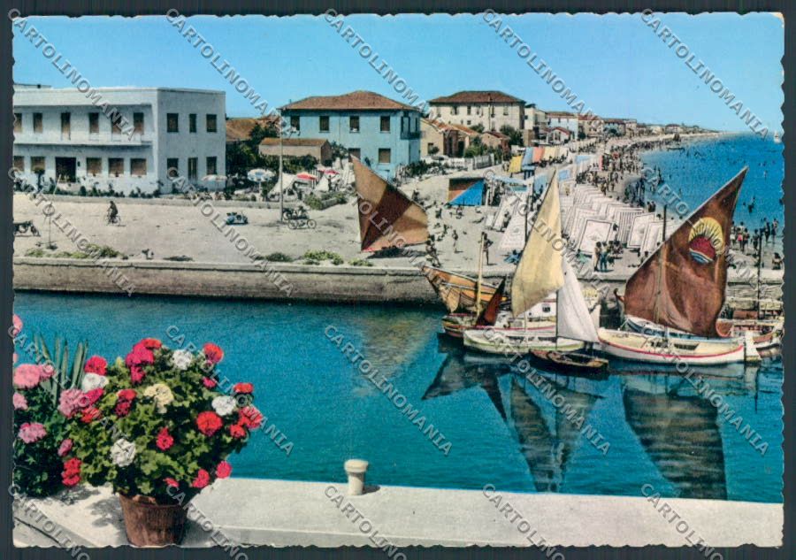 Rimini Bellaria foto FG cartolina ZF5115 – fronte