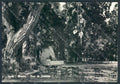 Bologna Imola foto FG cartolina ZF5278 – fronte