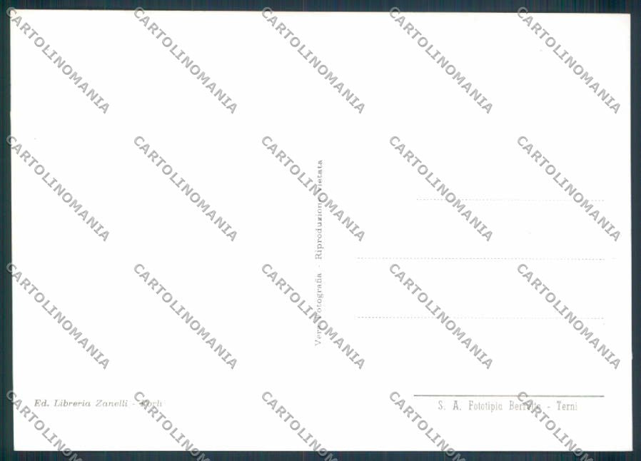 Forlì città foto FG cartolina ZF5559 – retro