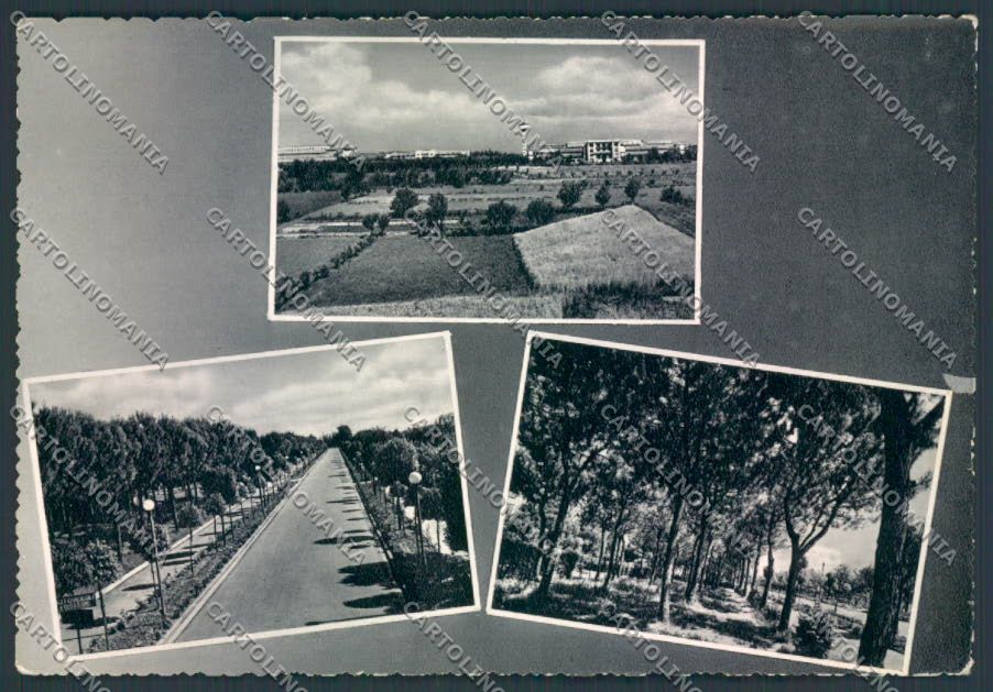 Forlì Vecchiazzano INPS foto FG cartolina ZF5567 – fronte