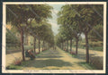 Ravenna Riolo dei Bagni FG cartolina ZF5578 – fronte