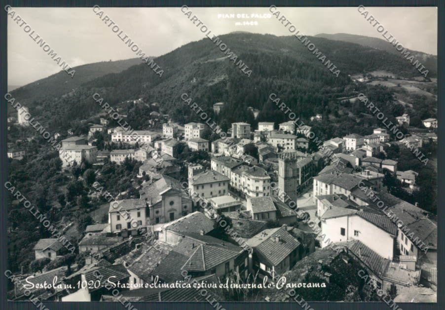 Modena Sestola foto FG cartolina ZF5648 – fronte