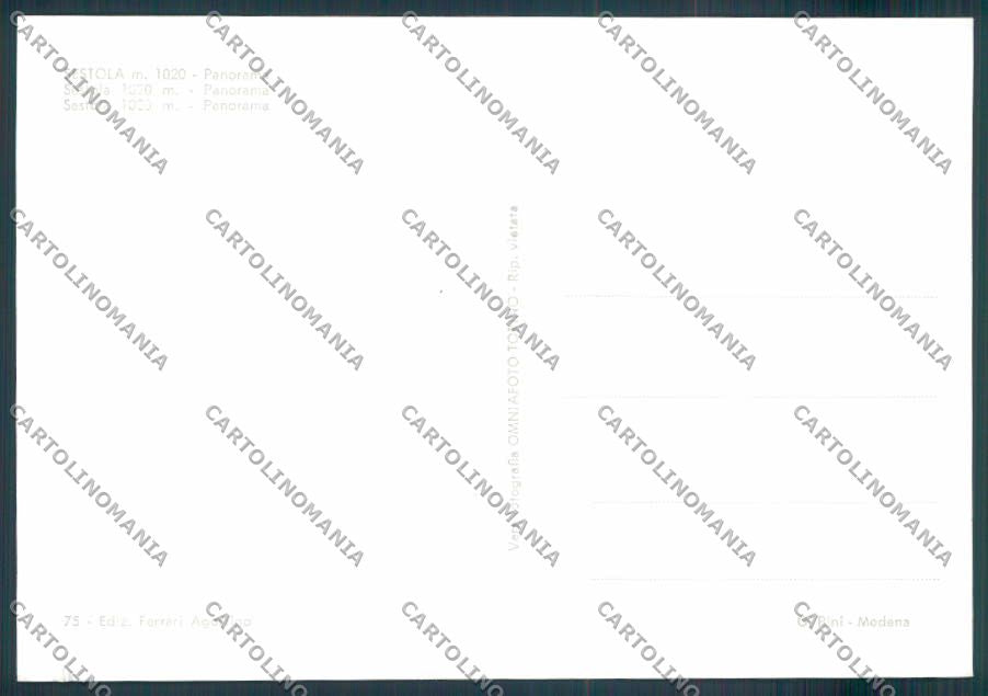 Modena Sestola foto FG cartolina ZF5648 – retro