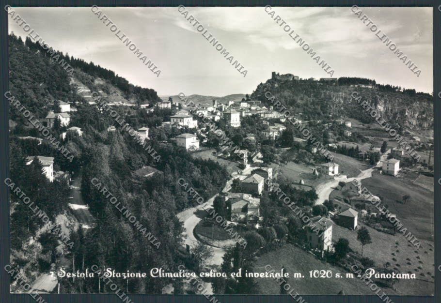 Modena Sestola foto FG cartolina ZF5649 – fronte
