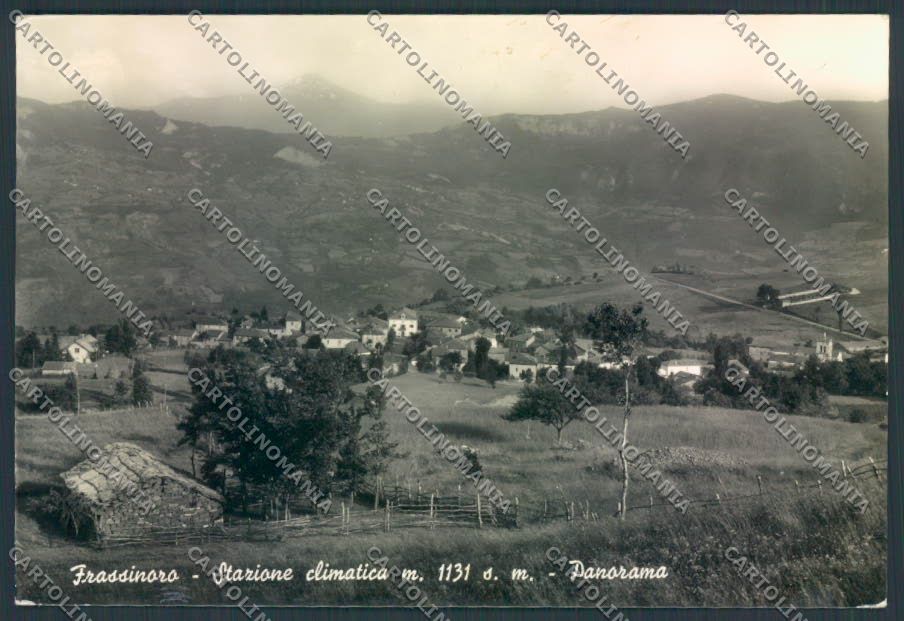 Modena Frassinoro foto FG cartolina ZF5658 – fronte