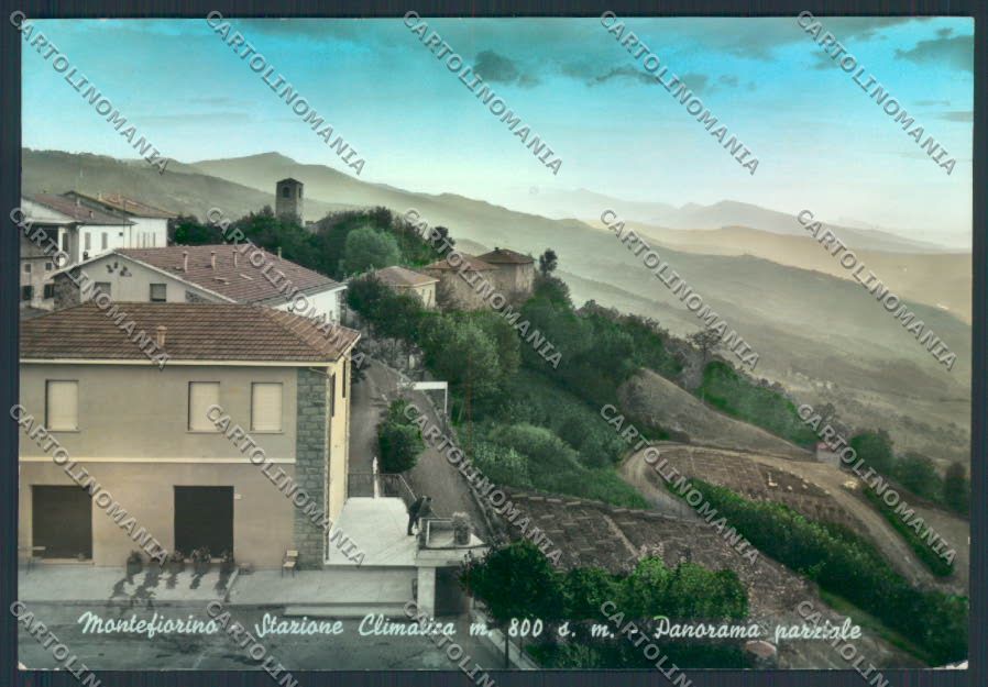 Modena Montefiorino foto FG cartolina ZF5706 – fronte
