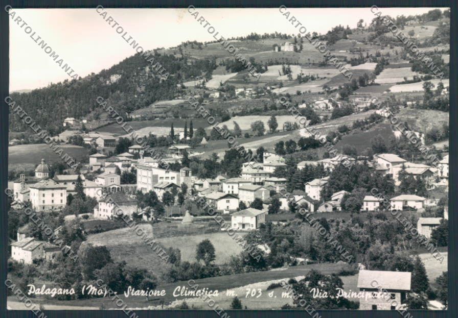 Modena Palagano foto FG cartolina ZF5717 – fronte