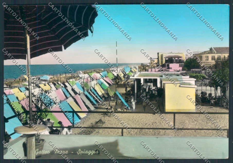 Forlì Gatteo a Mare foto FG cartolina ZF5722 – fronte