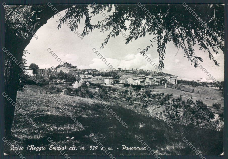 Reggio Emilia Baiso foto FG cartolina ZF5726 – fronte