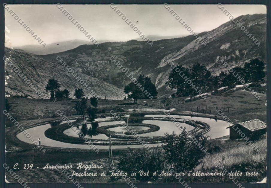 Reggio Emilia Villa Minozzo Febbio Trote FORO STRAPPI foto FG cartolina ZF5830 – fronte