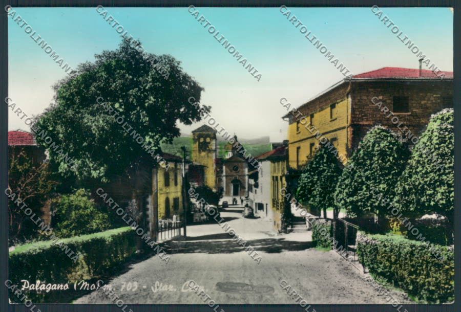 Modena Palagano foto FG cartolina ZF5853 – fronte