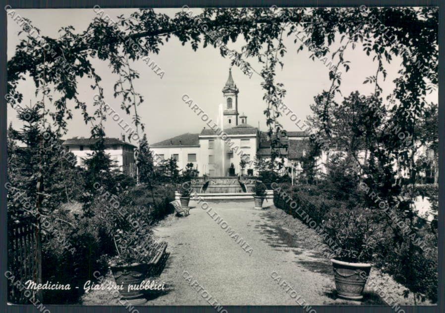 Bologna Medicina foto FG cartolina ZF5873 – fronte