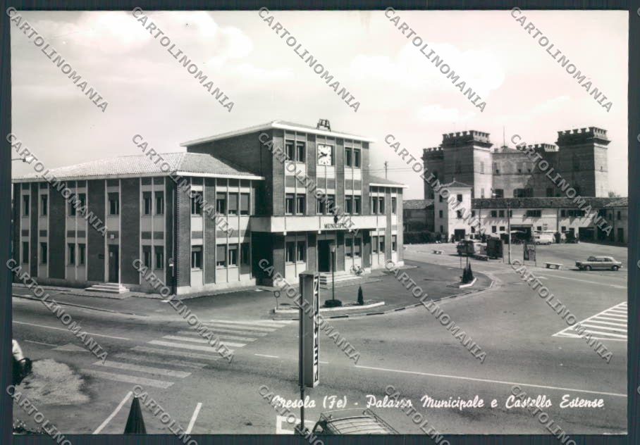 Ferrara Mesola foto FG cartolina ZF5898 – fronte
