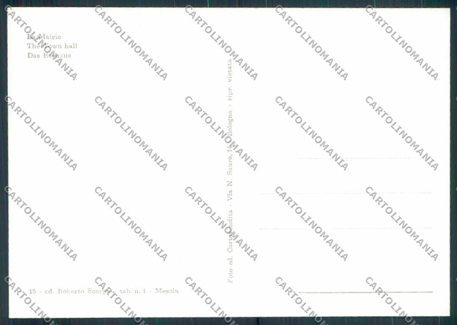 Ferrara Mesola foto FG cartolina ZF5898 – retro