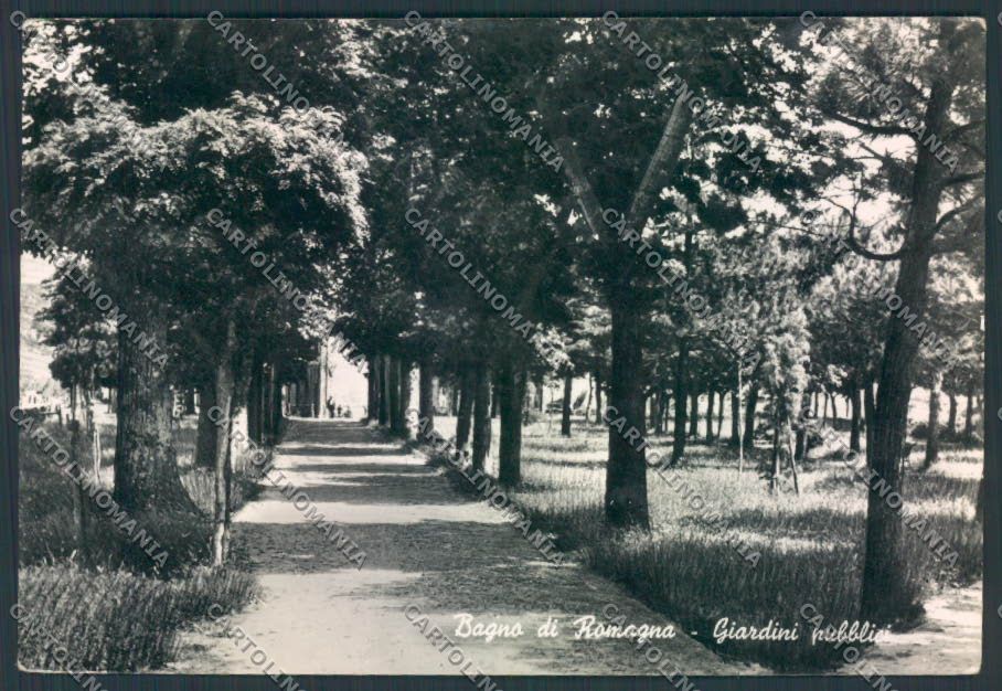 Forlì Bagno di Romagna foto FG cartolina ZF5925 – fronte