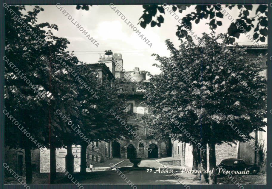 Perugia Assisi Foto FG cartolina ZF6057 – fronte