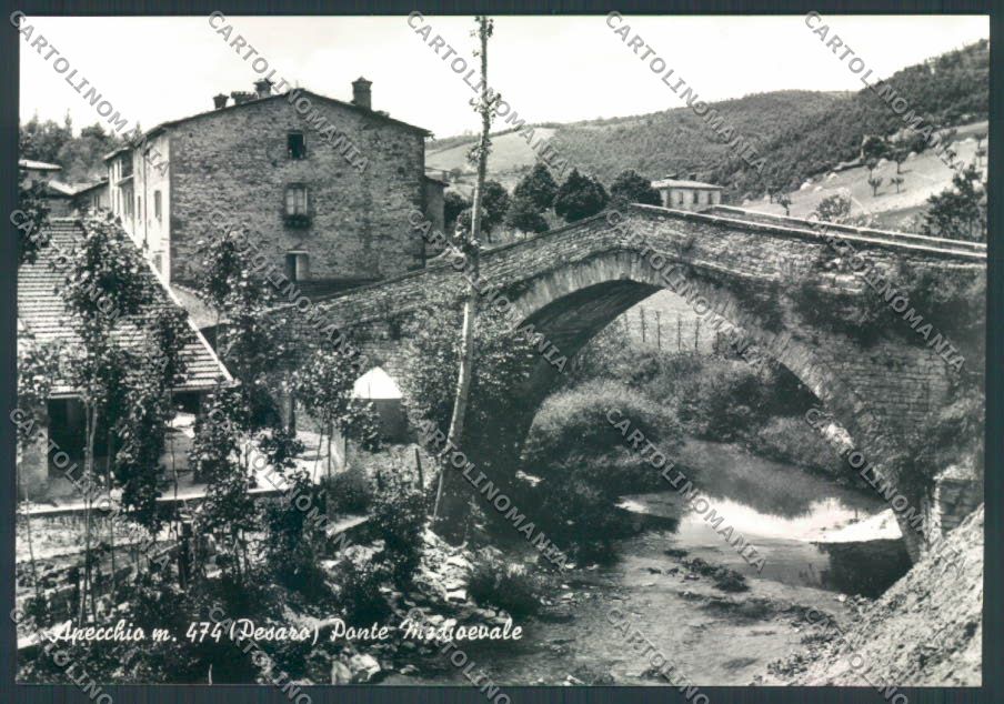 Pesaro Urbino Apecchio Foto FG cartolina ZF6116 – fronte