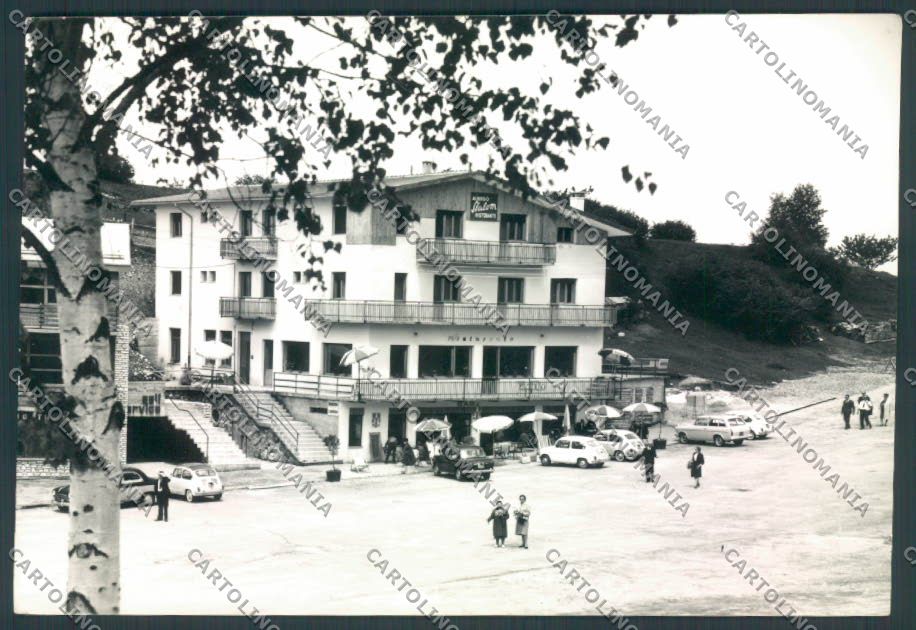 Belluno Alpe del Nevegal Foto FG cartolina ZF6157 – fronte