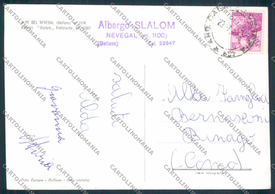Belluno Alpe del Nevegal Foto FG cartolina ZF6157 – retro