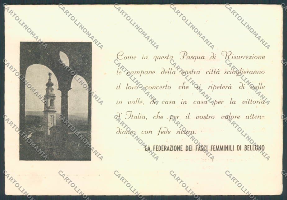 Belluno Fascismo Fasci Femminili FG cartolina ZF6183 – fronte