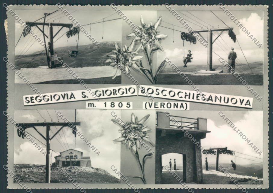 Verona Bosco Chiesanuova Foto FG cartolina ZF6210 – fronte