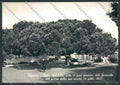 Sassari Caprera Garibaldi Foto FG cartolina ZF6482 – fronte