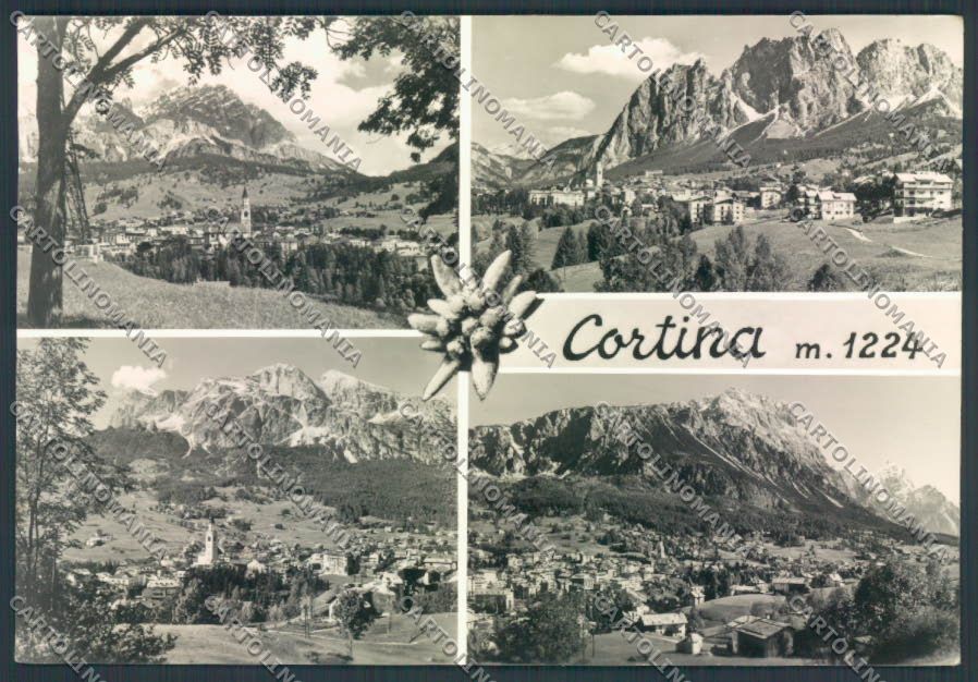 Belluno Cortina Foto FG cartolina ZF6487 – fronte