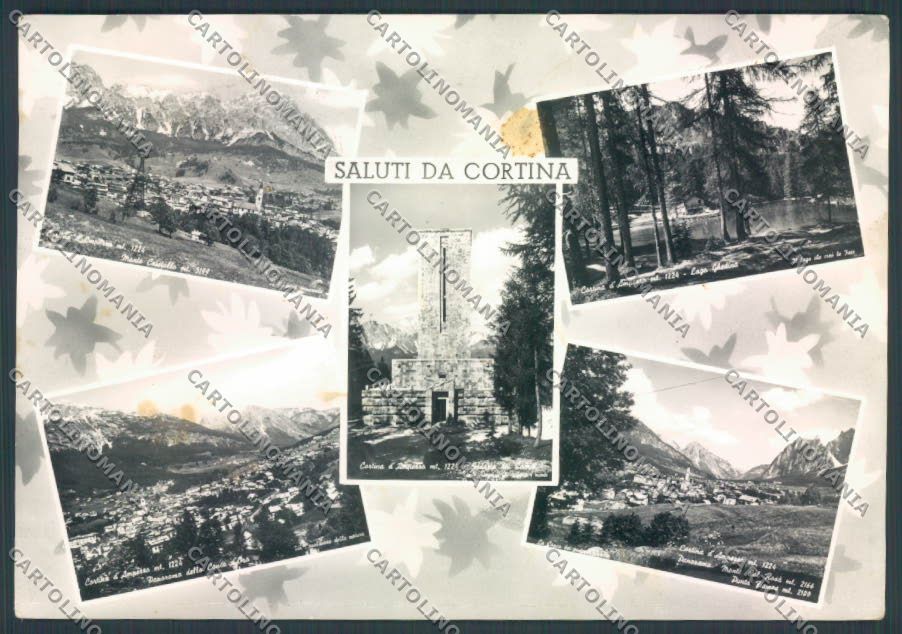 Belluno Cortina MACCHIA Foto FG cartolina ZF6488 – fronte