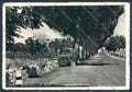 Bari Corato PIEGHINA Foto FG cartolina ZF6505 – fronte