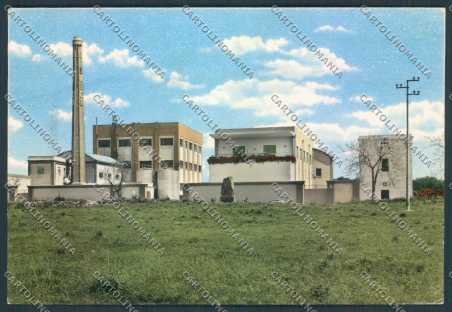 Trapani Castelvetrano SAICA Foto FG cartolina ZF6519 – fronte