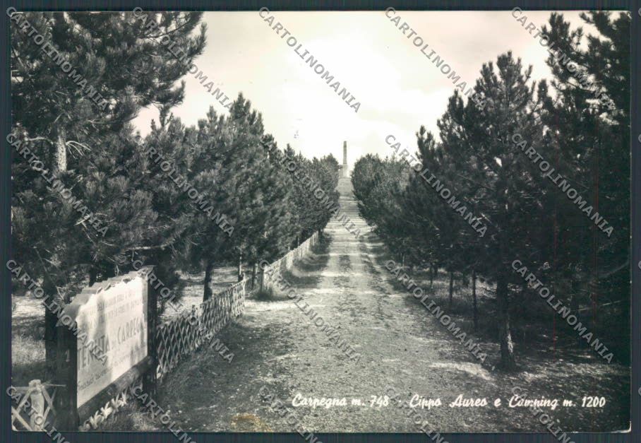 Pesaro Carpegna Foto FG cartolina ZF6535 – fronte