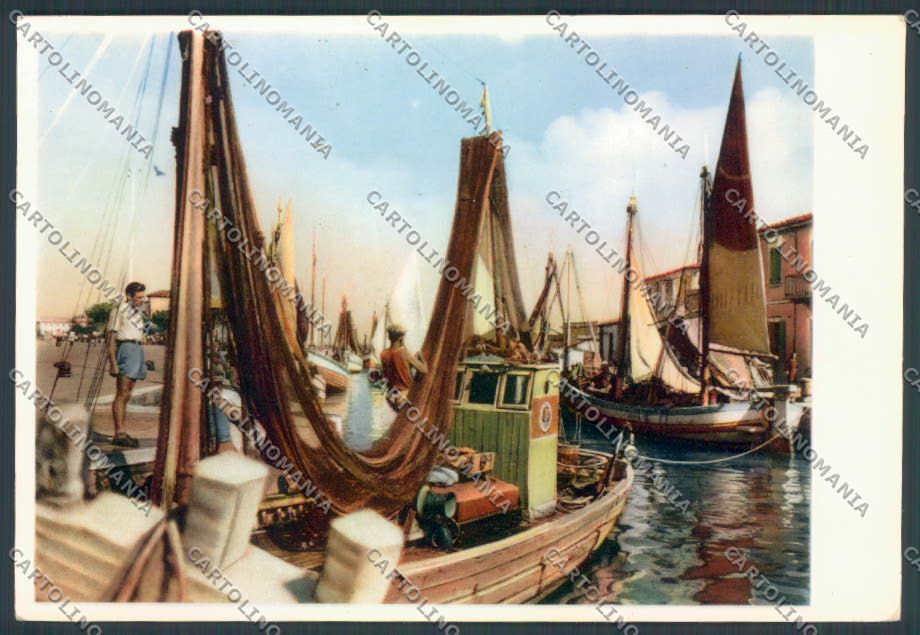 Venezia Chioggia Foto FG cartolina ZF6536 – fronte