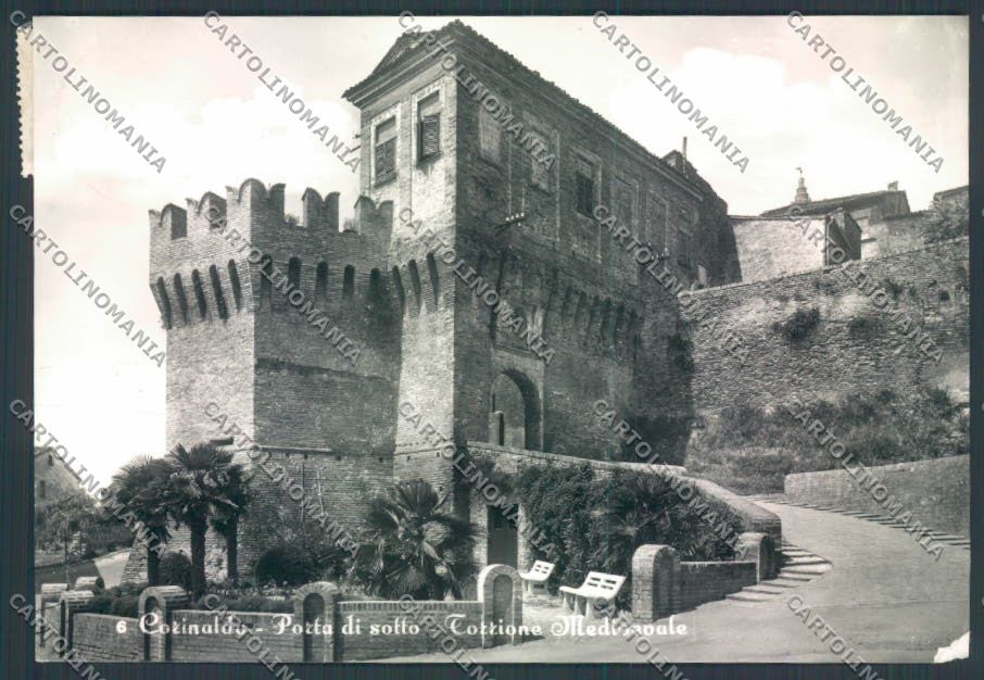 Ancona Corinaldo ABRASA Foto FG cartolina ZF6598 – fronte