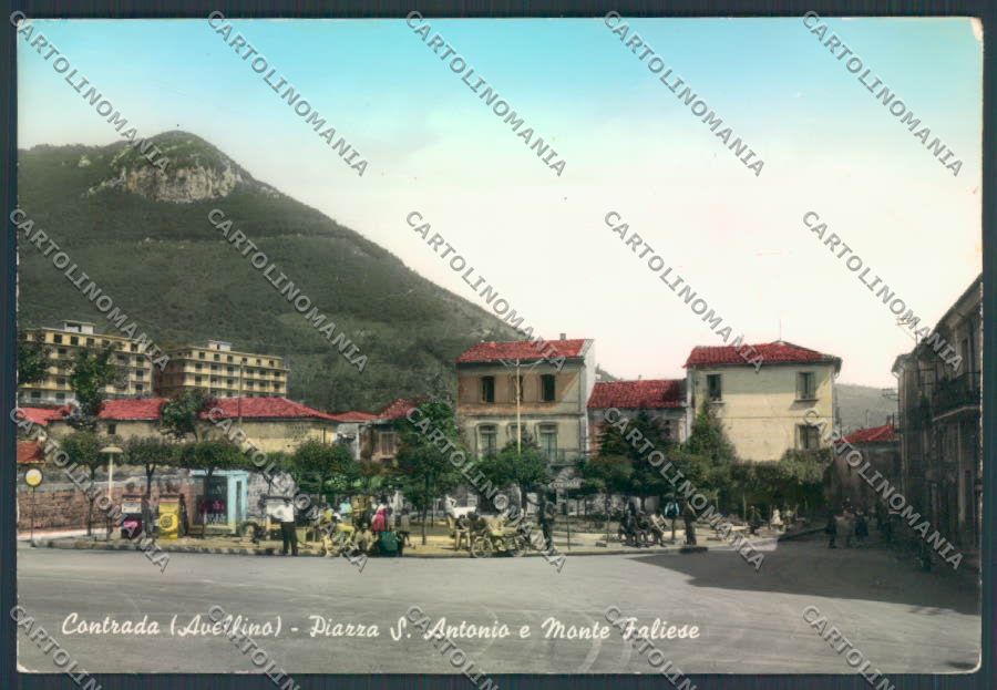 Avellino Contrada PIEGHINA Foto FG cartolina ZF6602 – fronte
