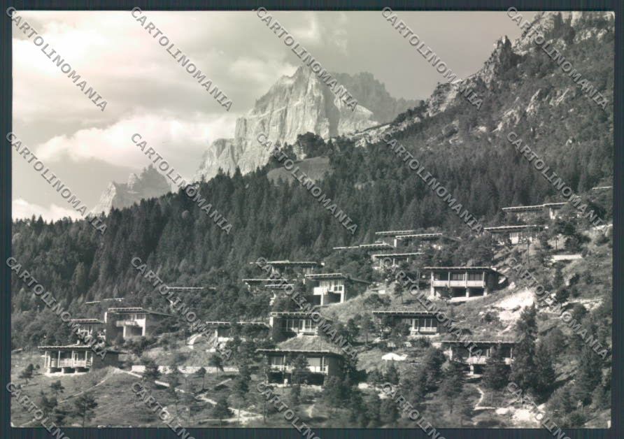 Belluno Borca Corte di Cadore Foto FG cartolina ZF6617 – fronte