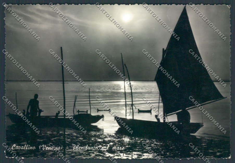 Venezia Cavallino Foto FG cartolina ZF6621 – fronte