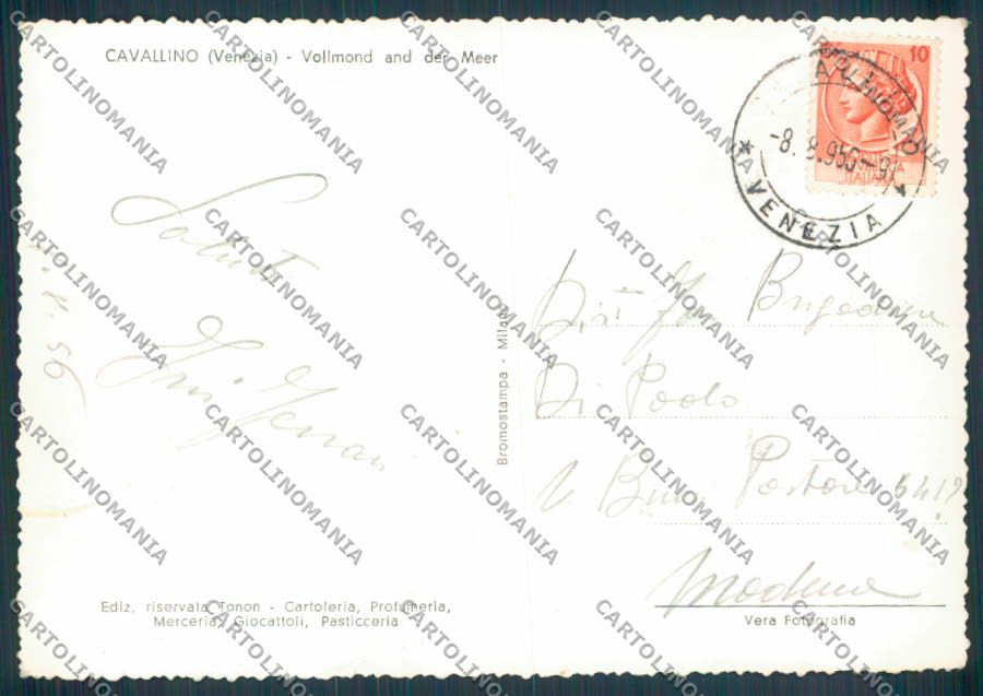 Venezia Cavallino Foto FG cartolina ZF6621 – retro