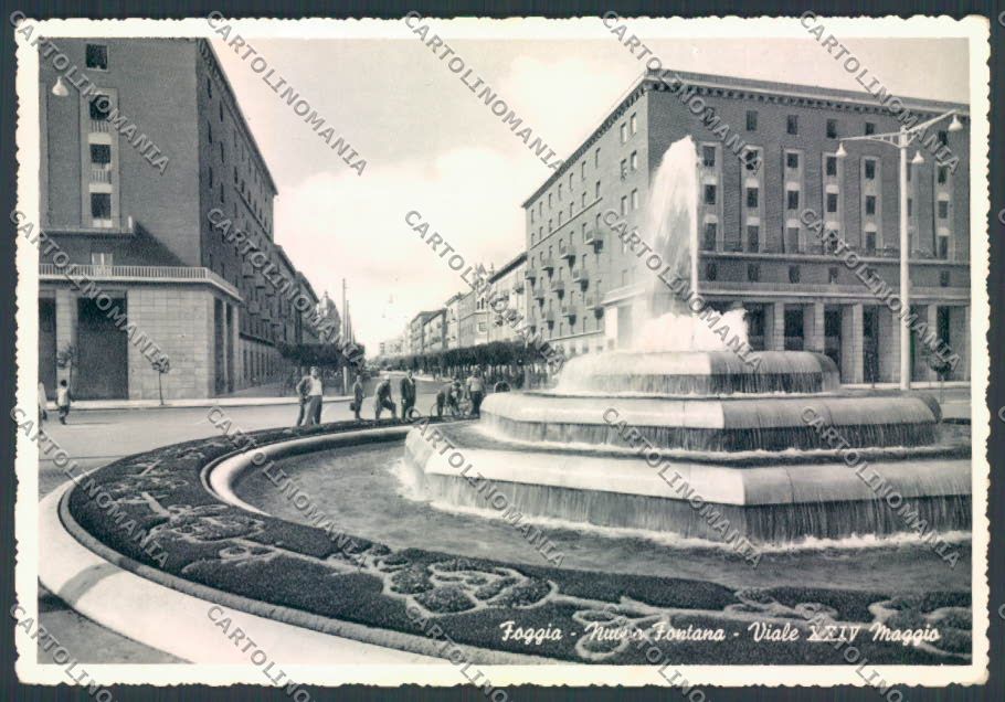 Foggia Città Viale XXIV Maggio Foto FG cartolina ZF6686 – fronte