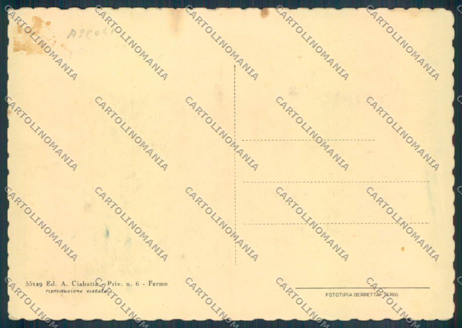 Ascoli Piceno Fermo Casina Rose FG cartolina ZF6740 – retro