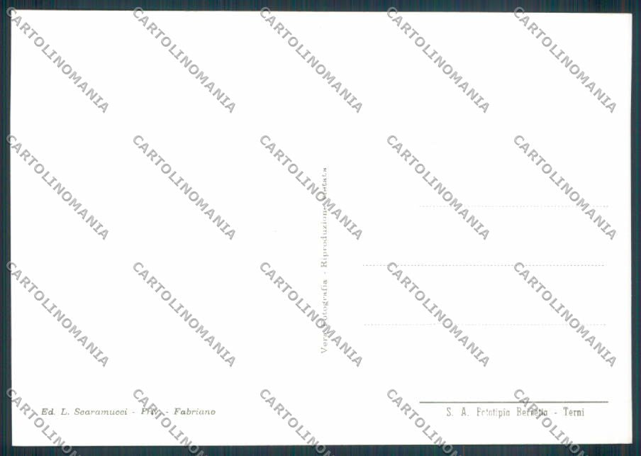 Ancona Fabriano Via Cialdini Foto FG cartolina ZF6819 – retro