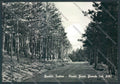 Perugia Gualdo Tadino Foto FG cartolina ZF7026 – fronte