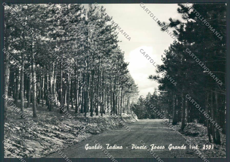 Perugia Gualdo Tadino Foto FG cartolina ZF7026 – fronte