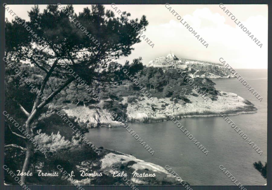 Foggia Isole Tremiti Foto FG cartolina ZF7114 – fronte